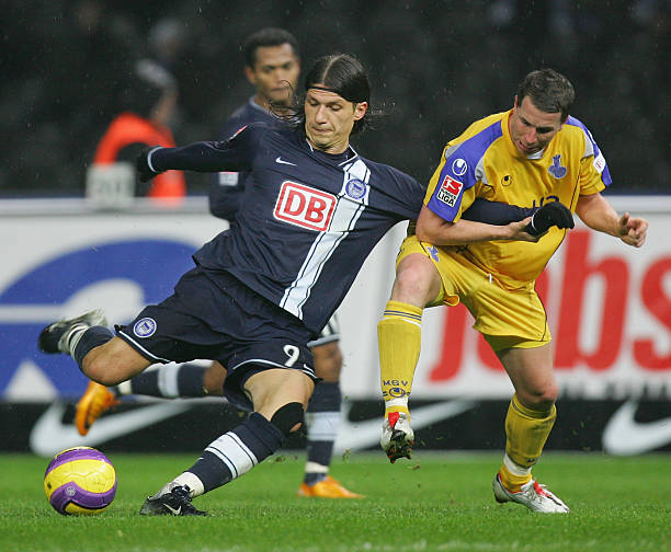 无论是哈兰 无论是哈兰